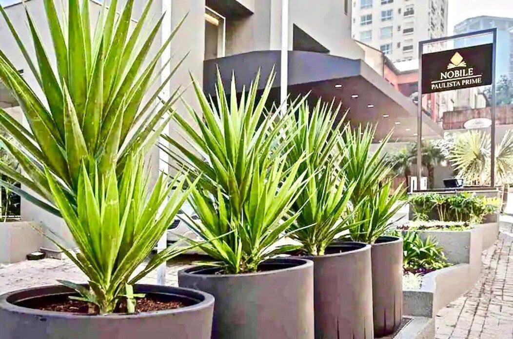 Flat Whynd Paulista Al Campinas 540 Lägenhet São Paulo Exteriör bild